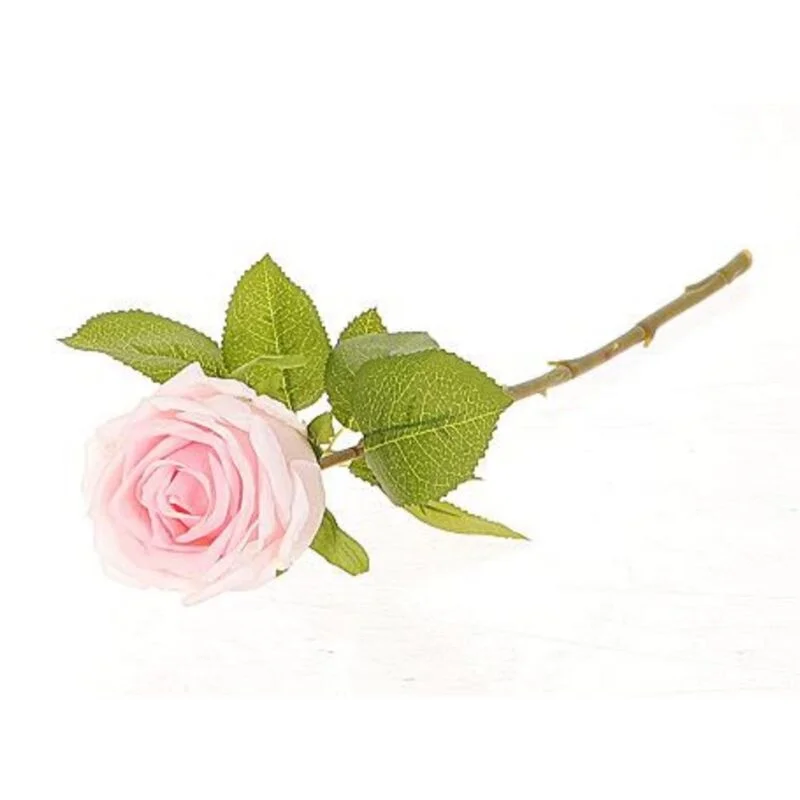 gartencenterleurs-3826291