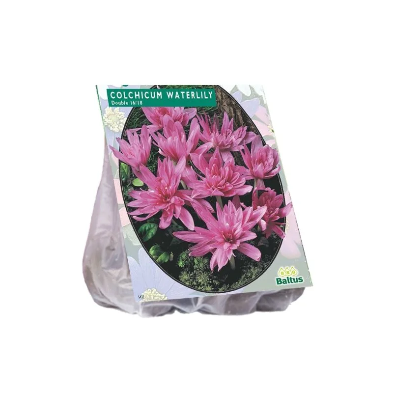 gartencenterleurs-3843230