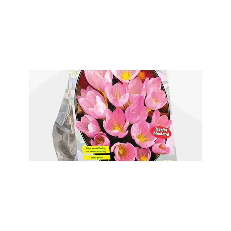 gartencenterleurs-3843233