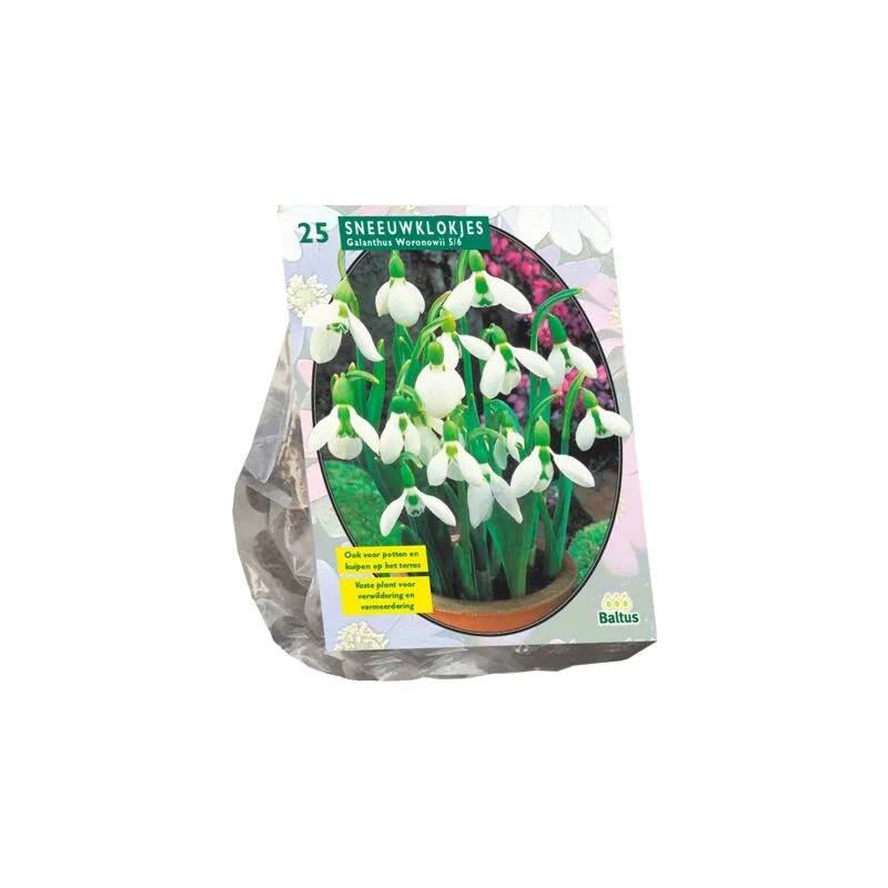 gartencenterleurs-3843251