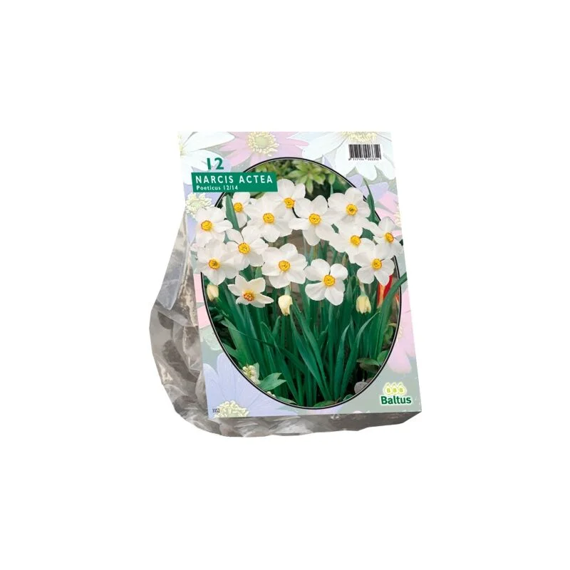 gartencenterleurs-3843258