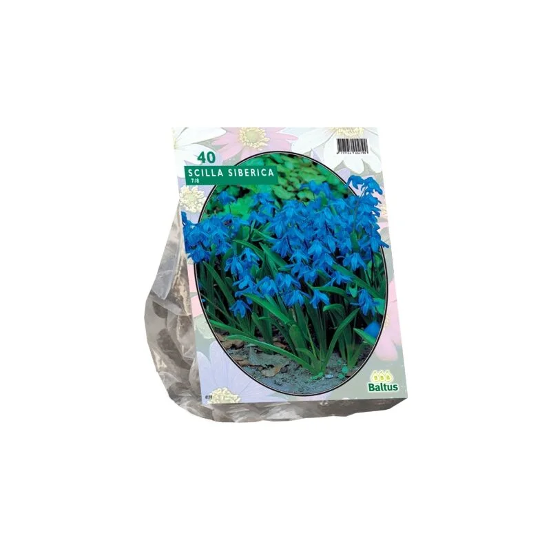 gartencenterleurs-3843274