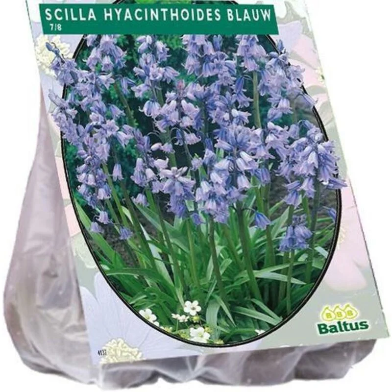 gartencenterleurs-3843275
