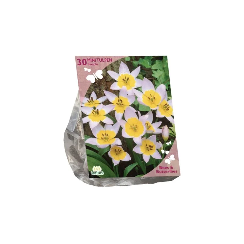 gartencenterleurs-3843292