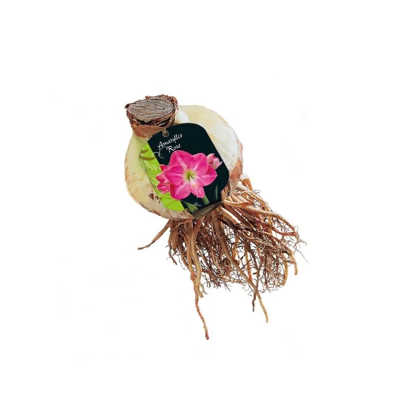 gartencenterleurs-3843301