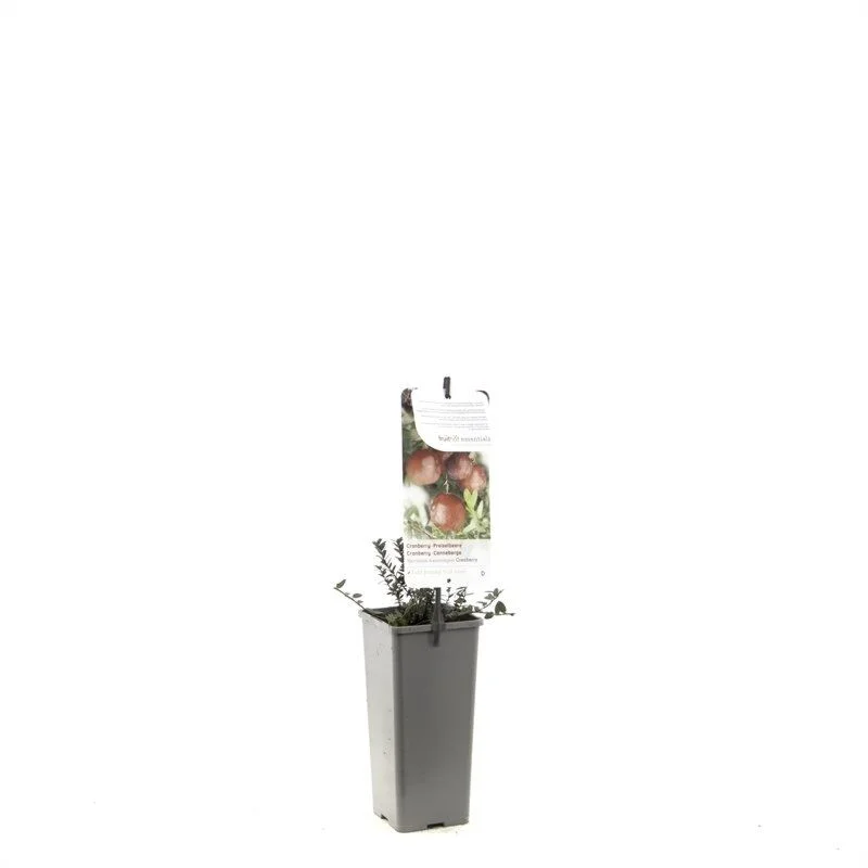 gartencenterleurs-3843473