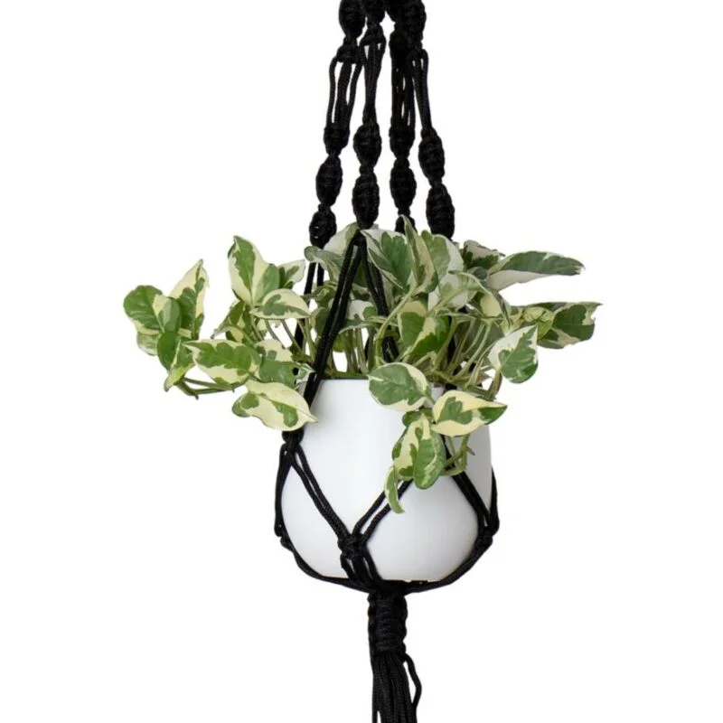 gartencenterleurs-3844071