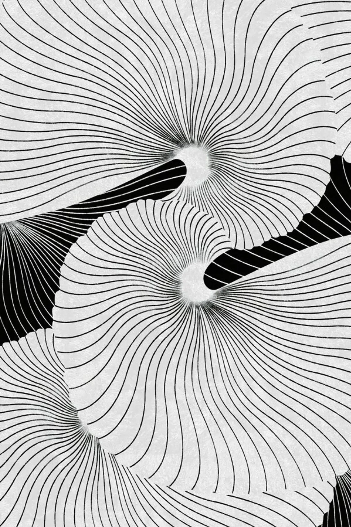 juniqe-3752426