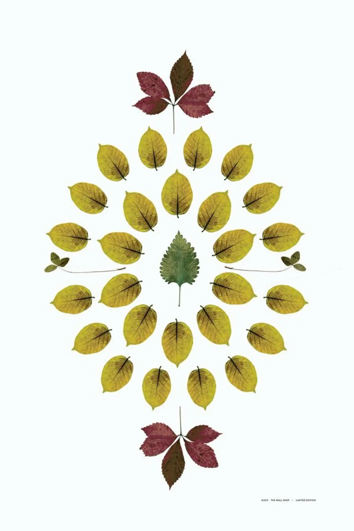 juniqe-3780507