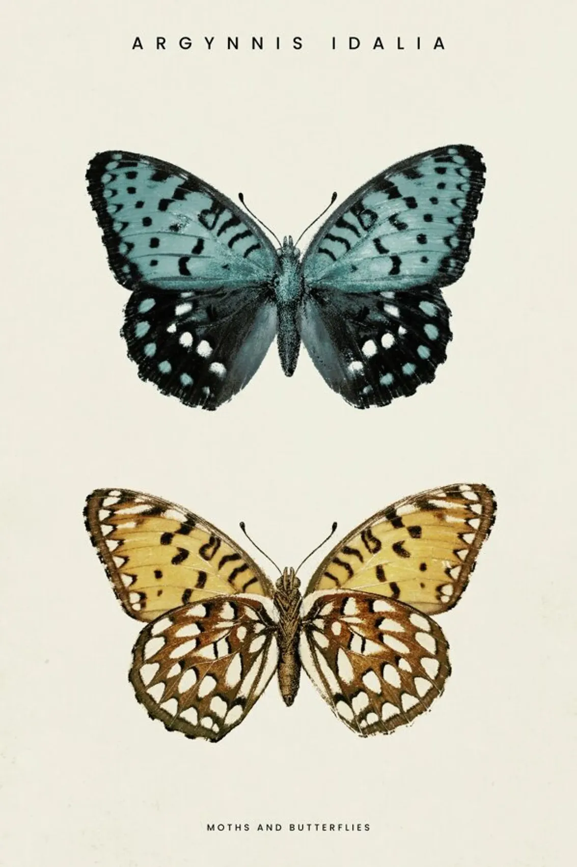 juniqe-3796607