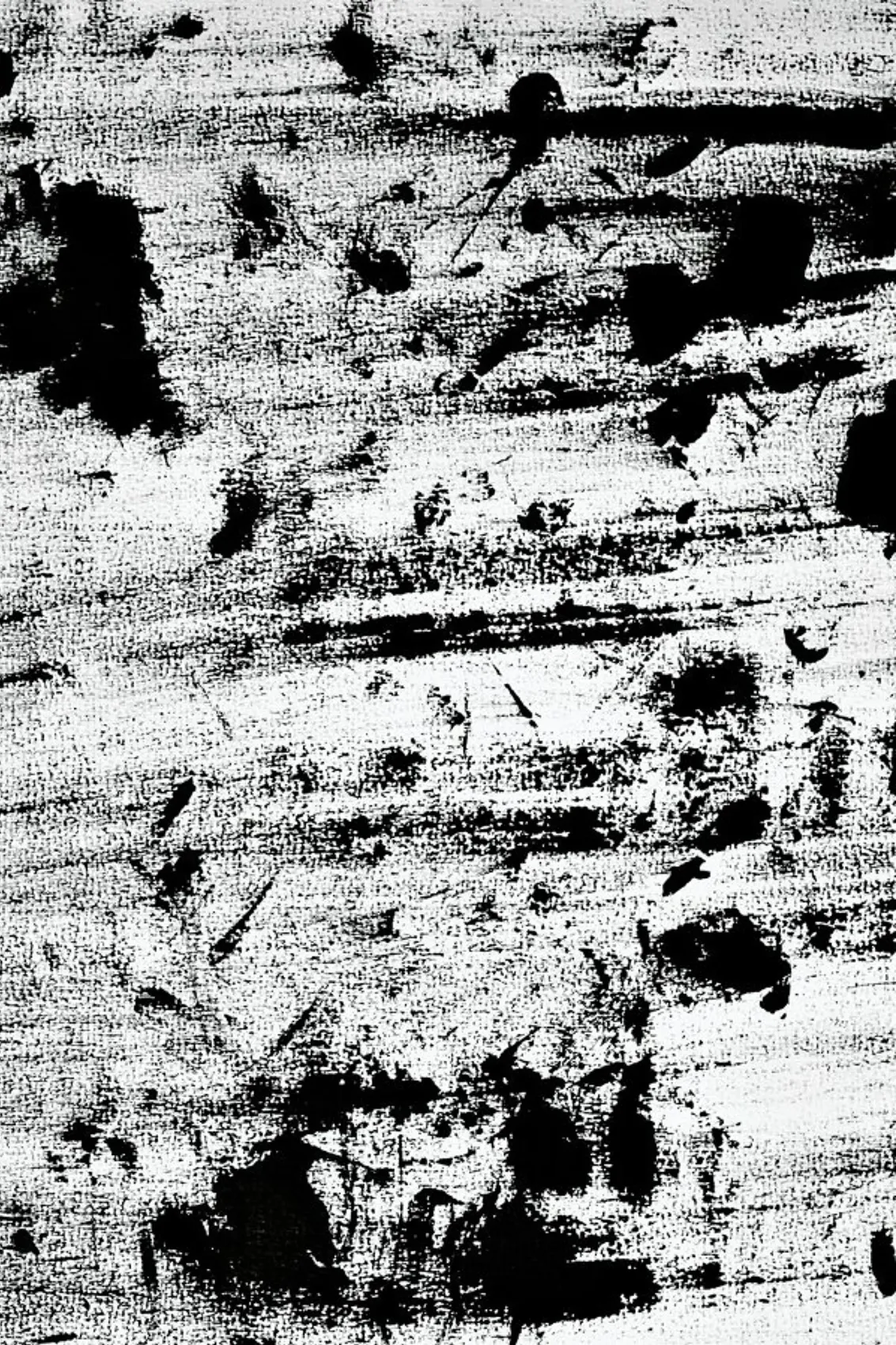 juniqe-3797254