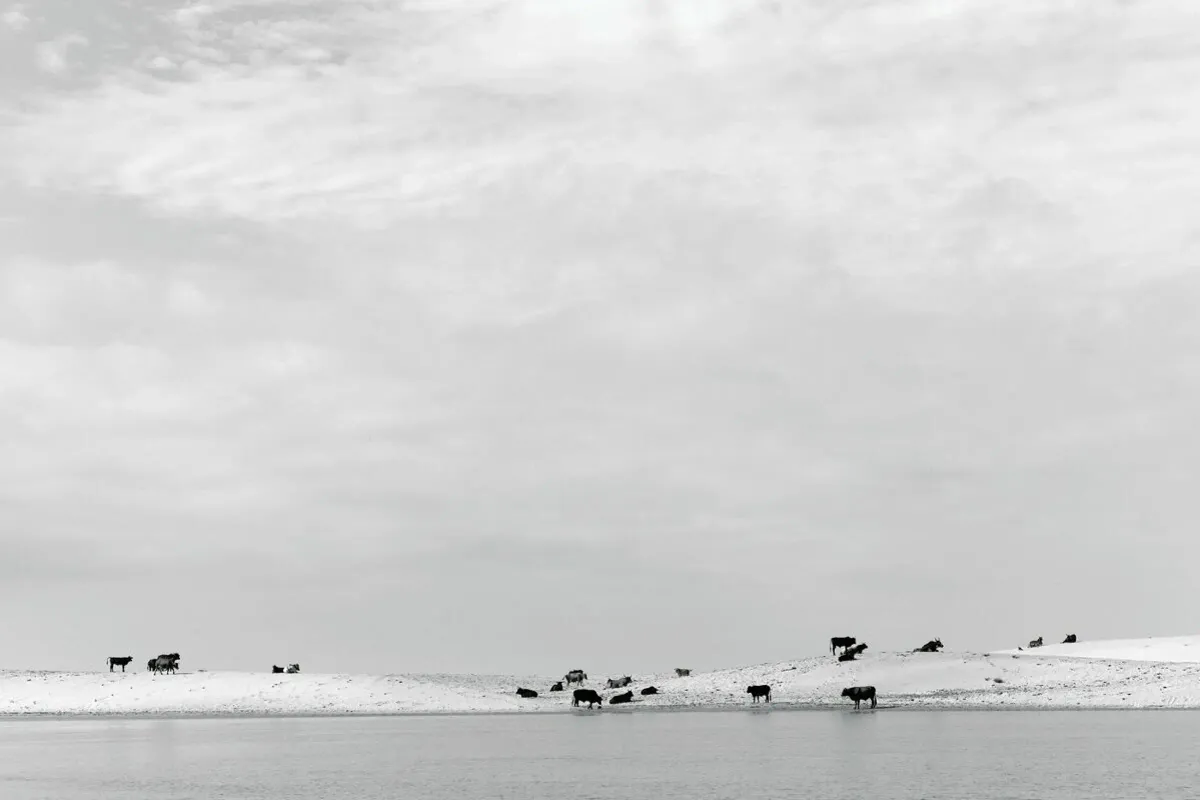 juniqe-3826832