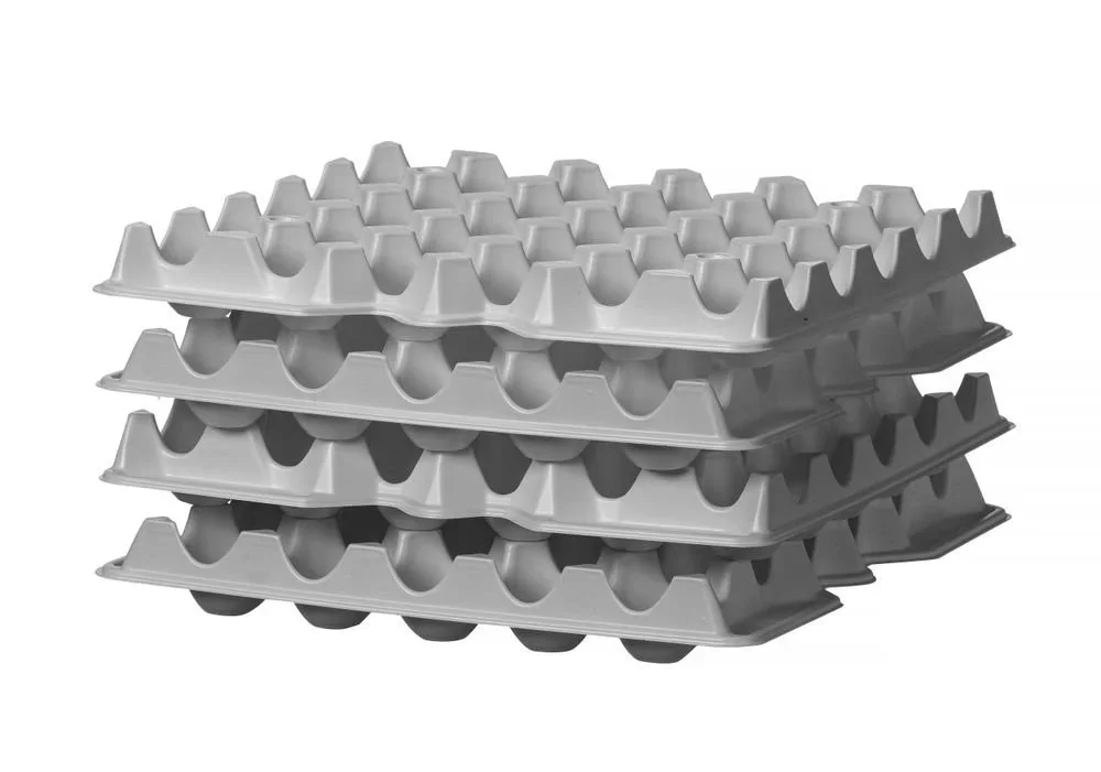 kiwistore-3529749