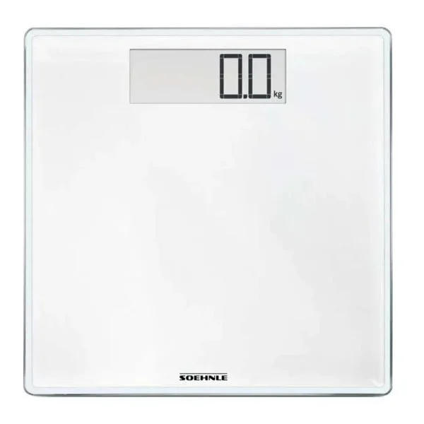 kiwistore-3535242