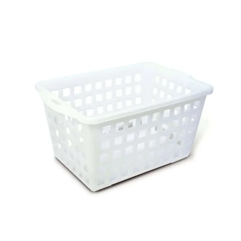 kiwistore-3538788