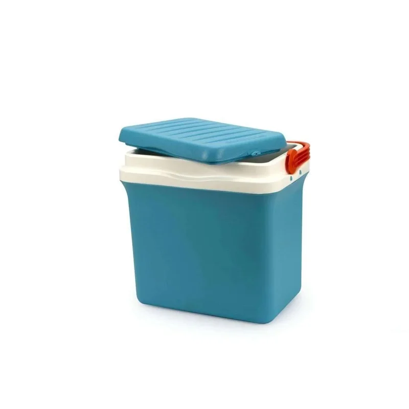 kiwistore-3539111