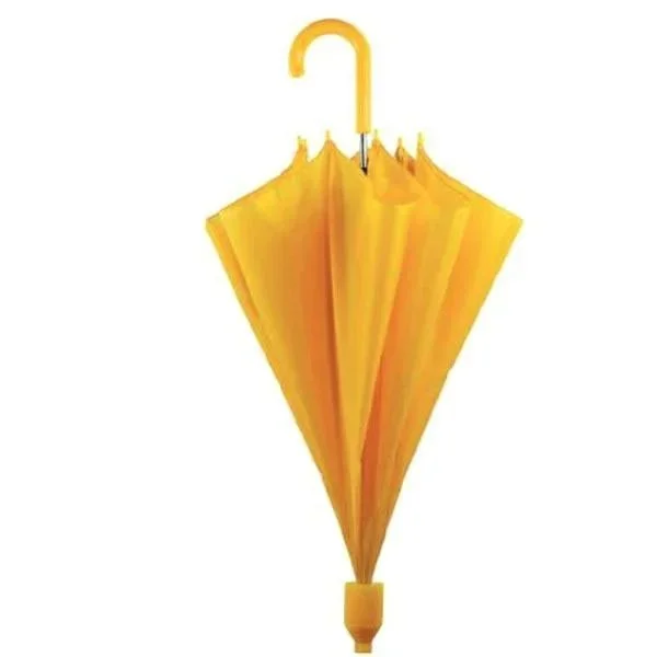 kiwistore-3544020