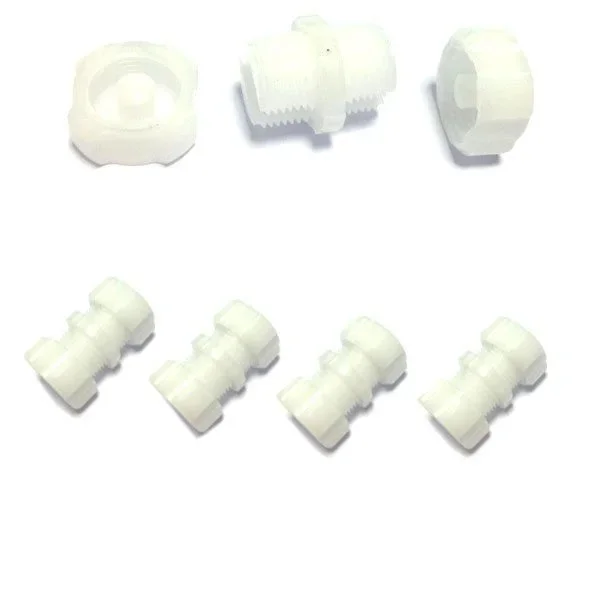 kiwistore-3544233