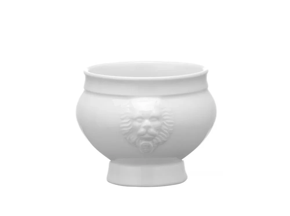 kiwistore-3545466