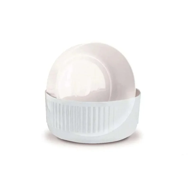 kiwistore-3550603