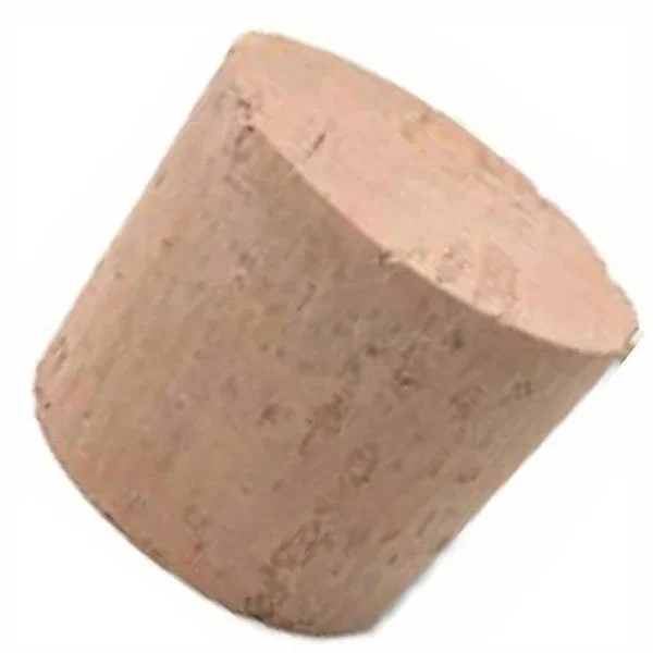 kiwistore-3553085