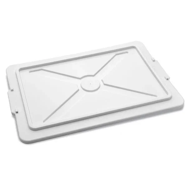 kiwistore-3553302