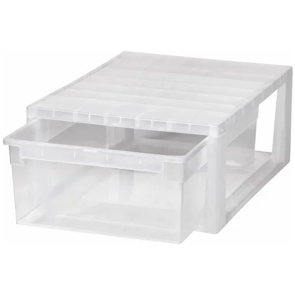 kiwistore-3553852