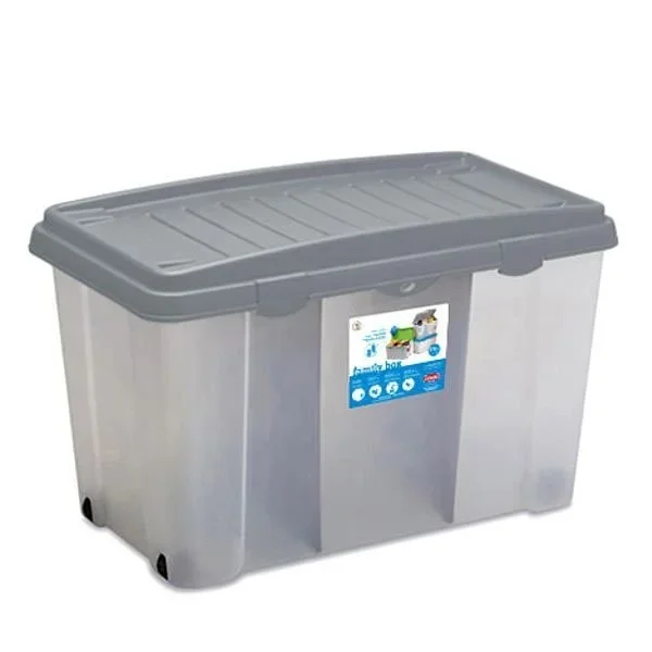 kiwistore-3553863
