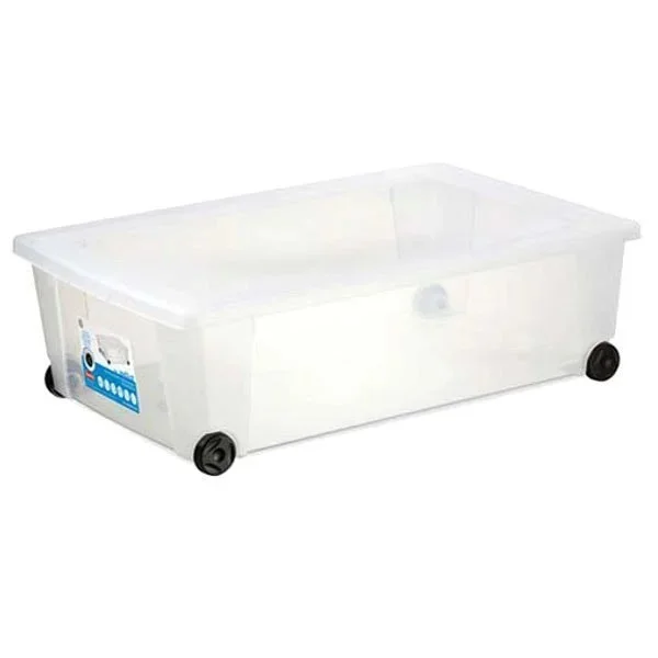 kiwistore-3553875