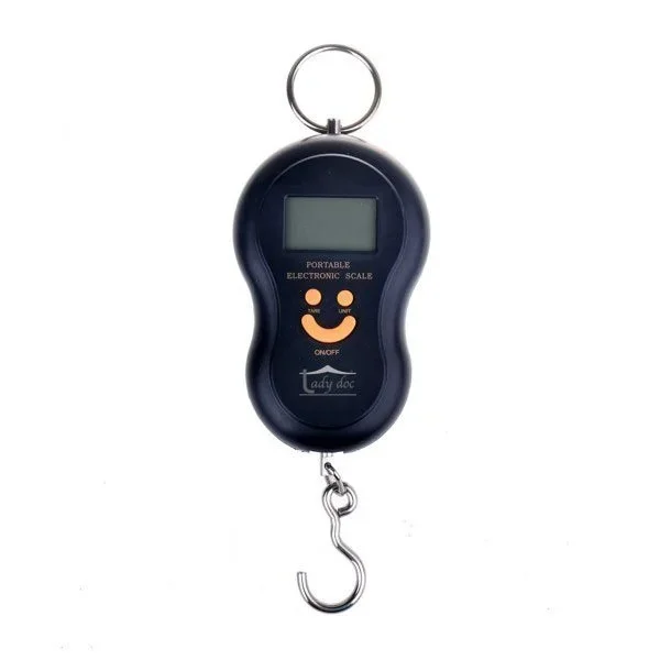 kiwistore-3553940