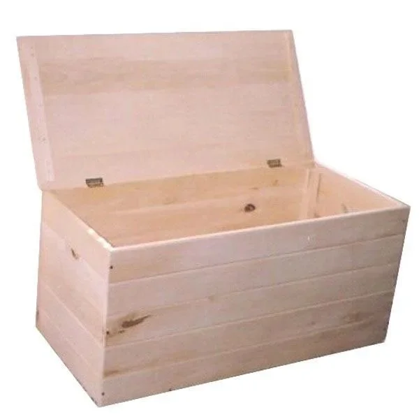 kiwistore-3553973