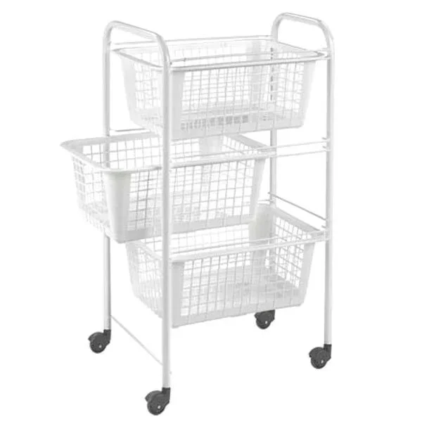 kiwistore-3554039