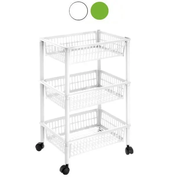 kiwistore-3554046