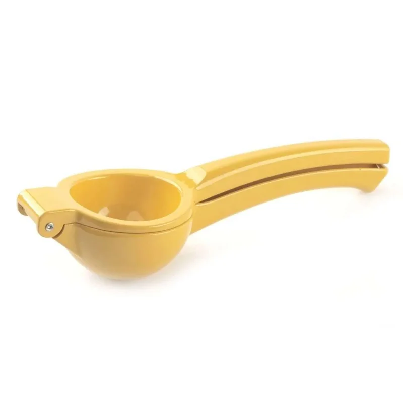 kiwistore-3555146