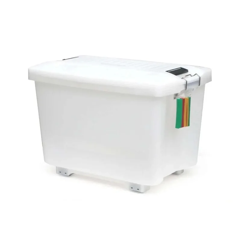 kiwistore-3557915