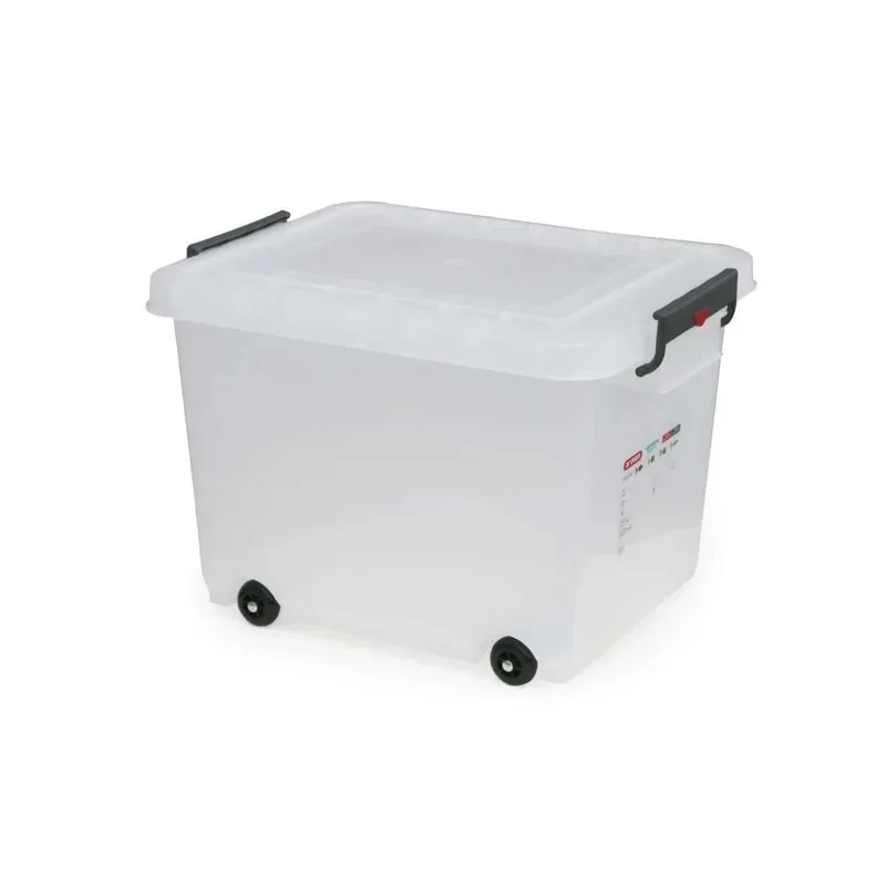 kiwistore-3558158