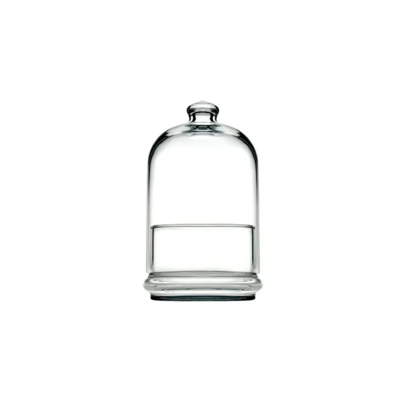 kiwistore-3560098