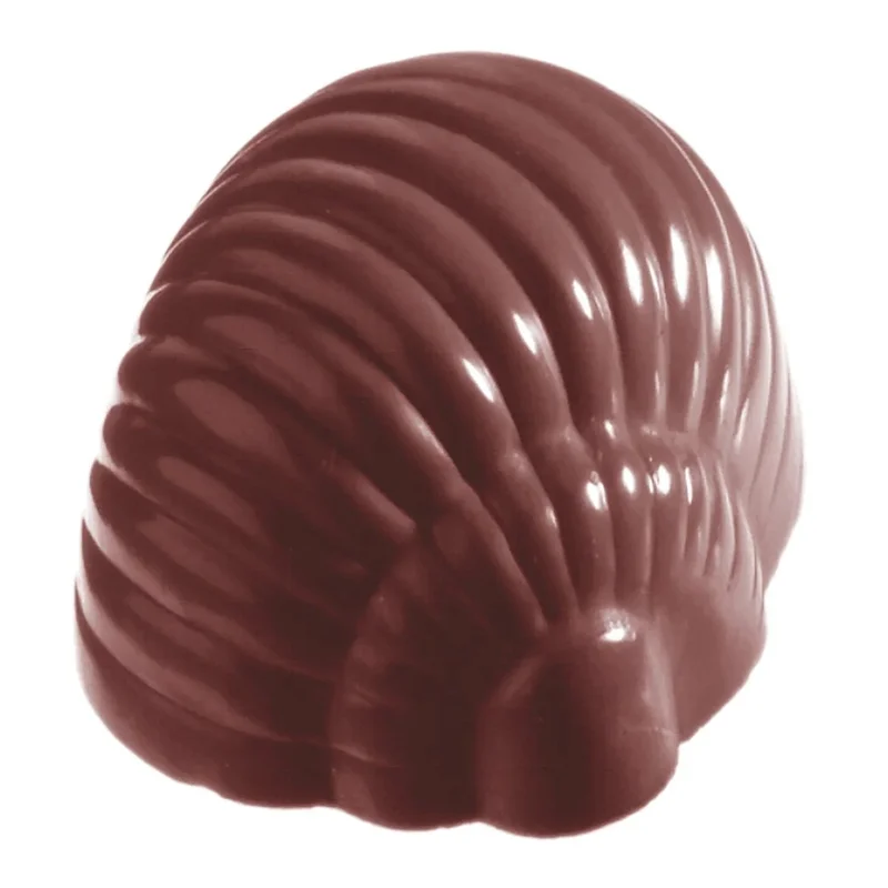 kiwistore-3565419