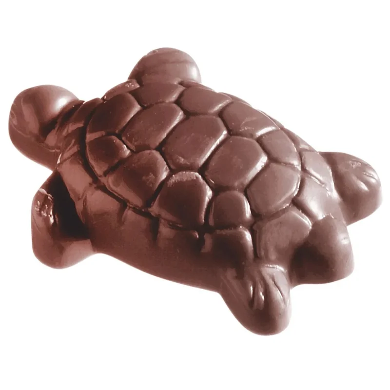 kiwistore-3565642