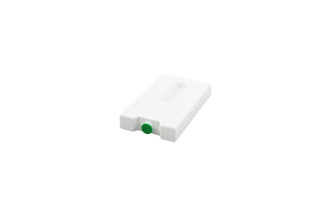 kiwistore-3565994