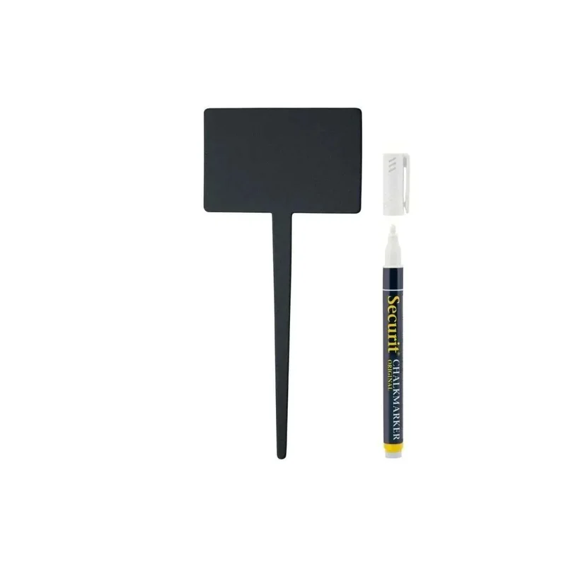 kiwistore-3566619
