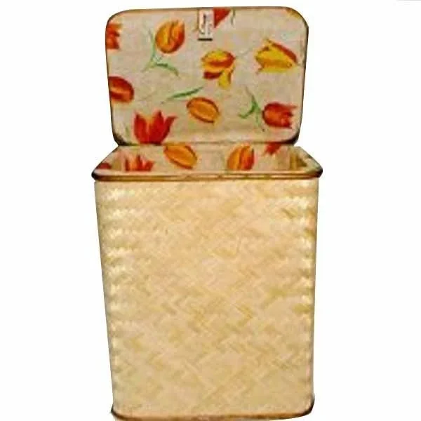 kiwistore-3567526