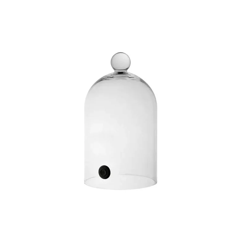 kiwistore-3568053