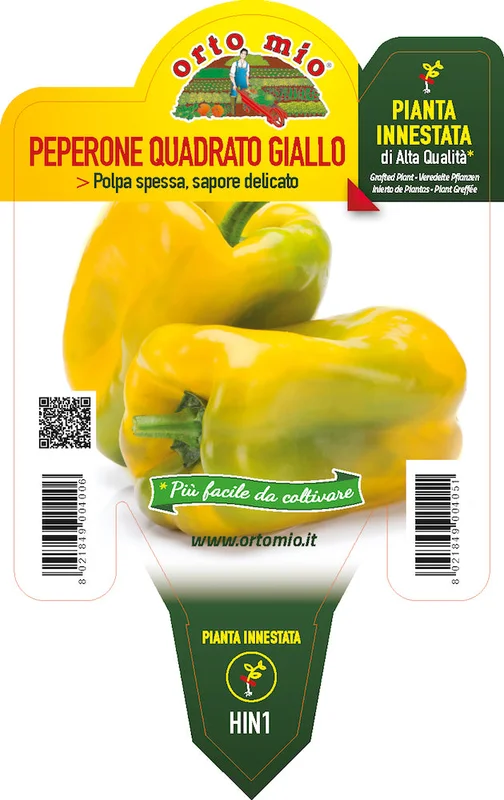 peragashop13860104