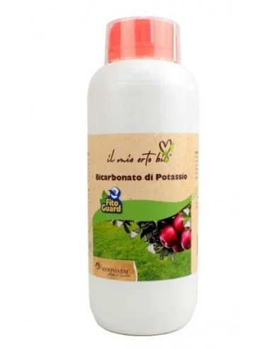 peragashop23473748