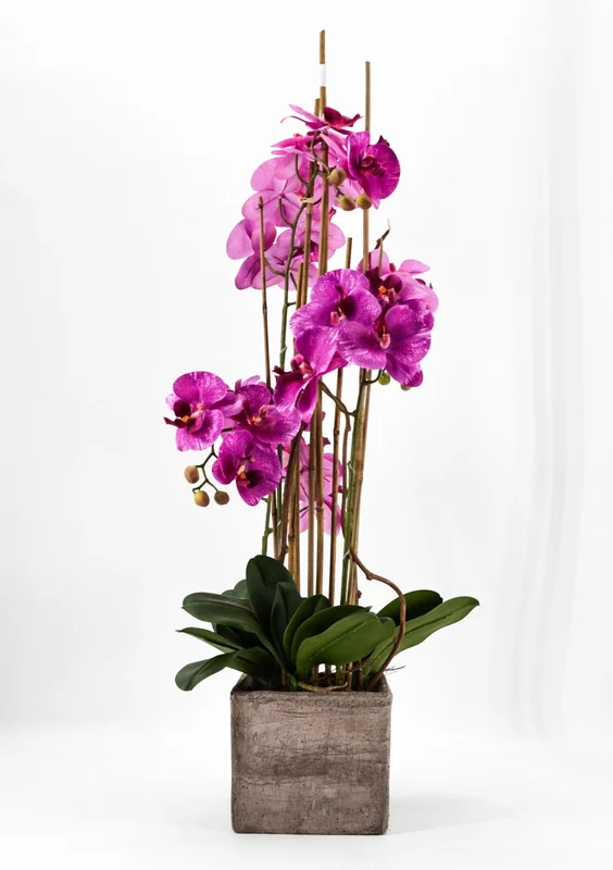 peragashop23571064