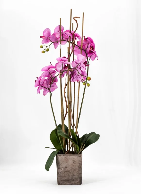peragashop23571073