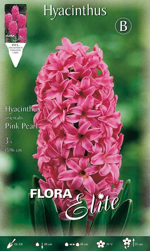 peragashop23580041