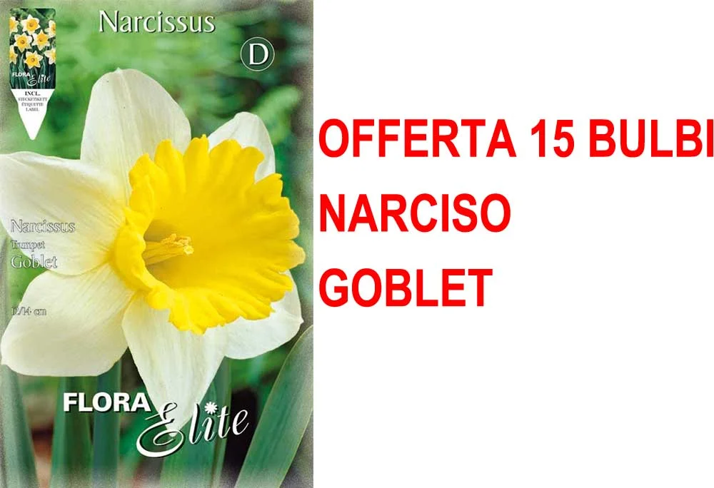 peragashop23581857