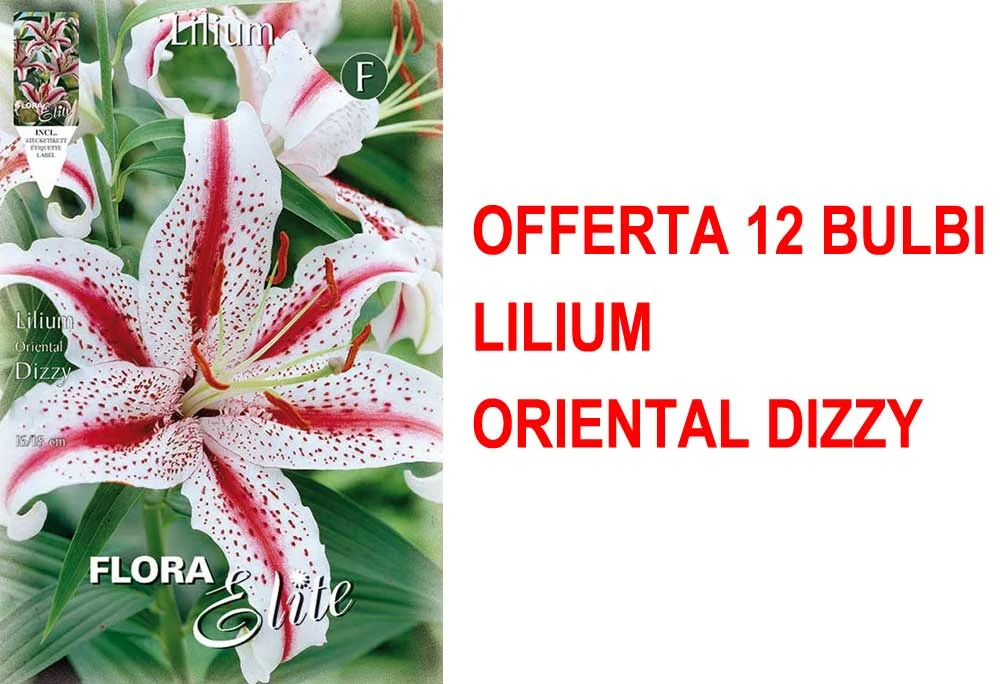 peragashop23586816